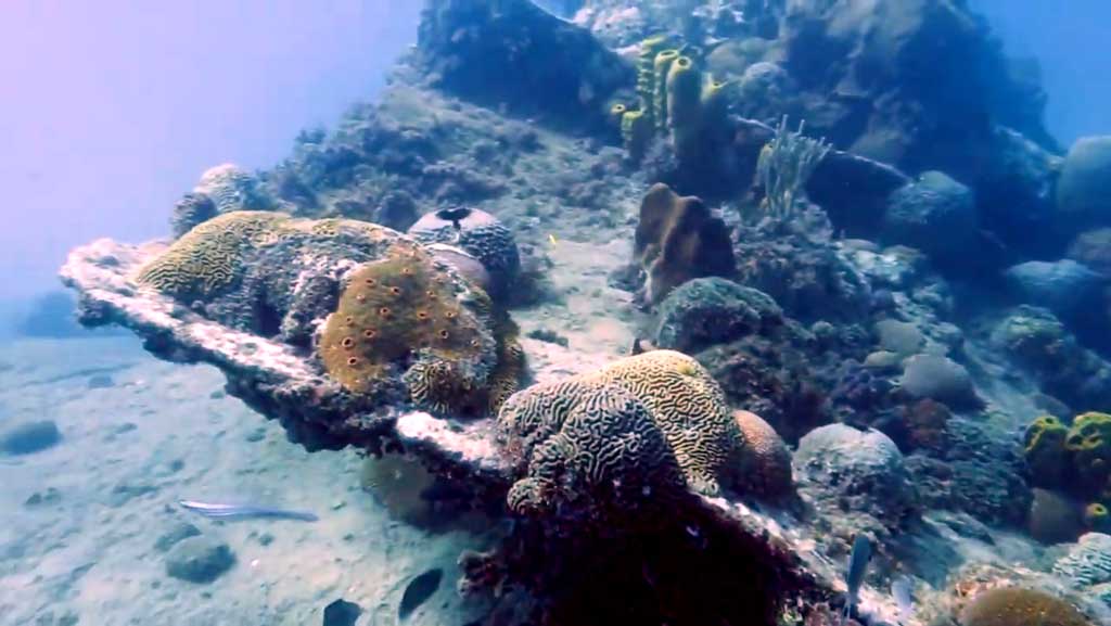 Section of Cornwallis relocated to the Marine Park