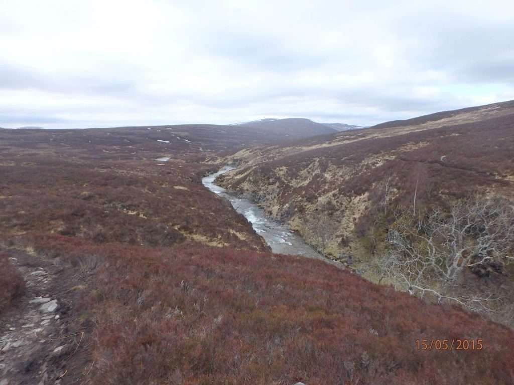 Glen Feshie
