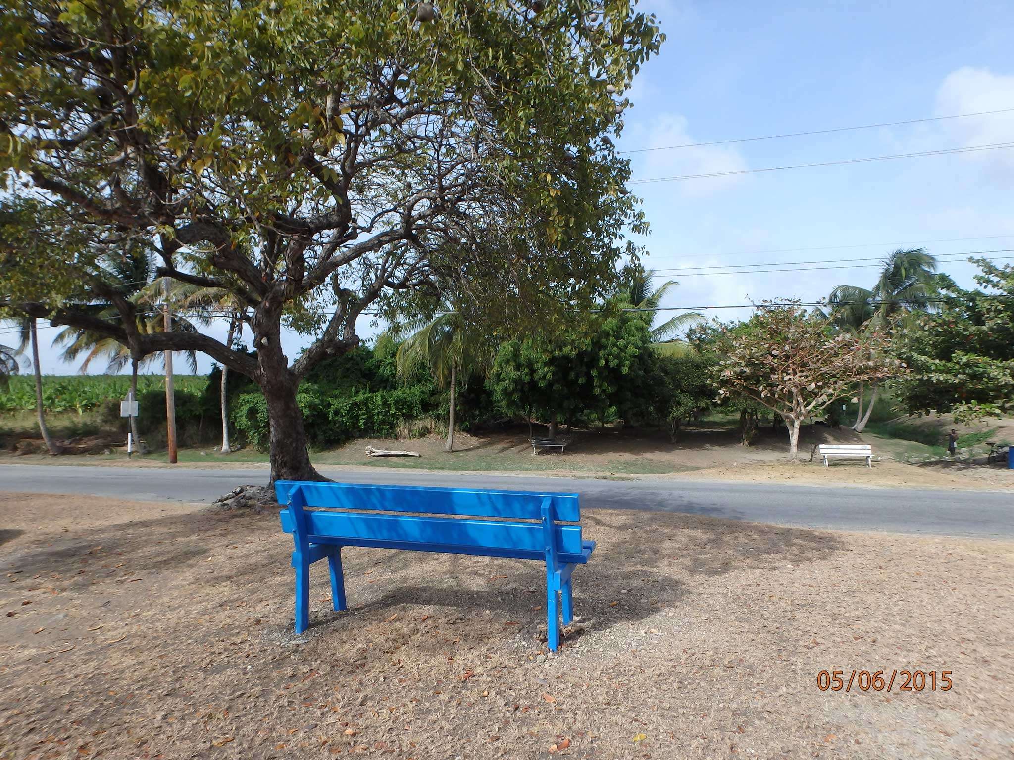 Memorials for departed friends