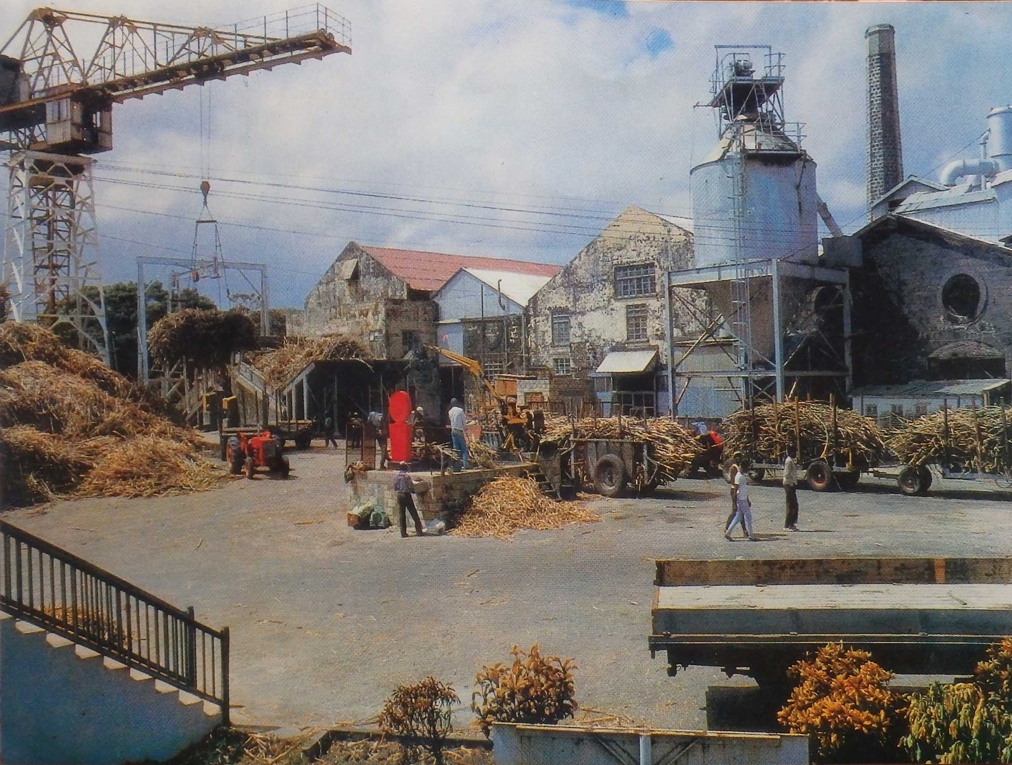 St. Philip, Barbados in the 1950s & 1960s. A very brief recollection of the people and events