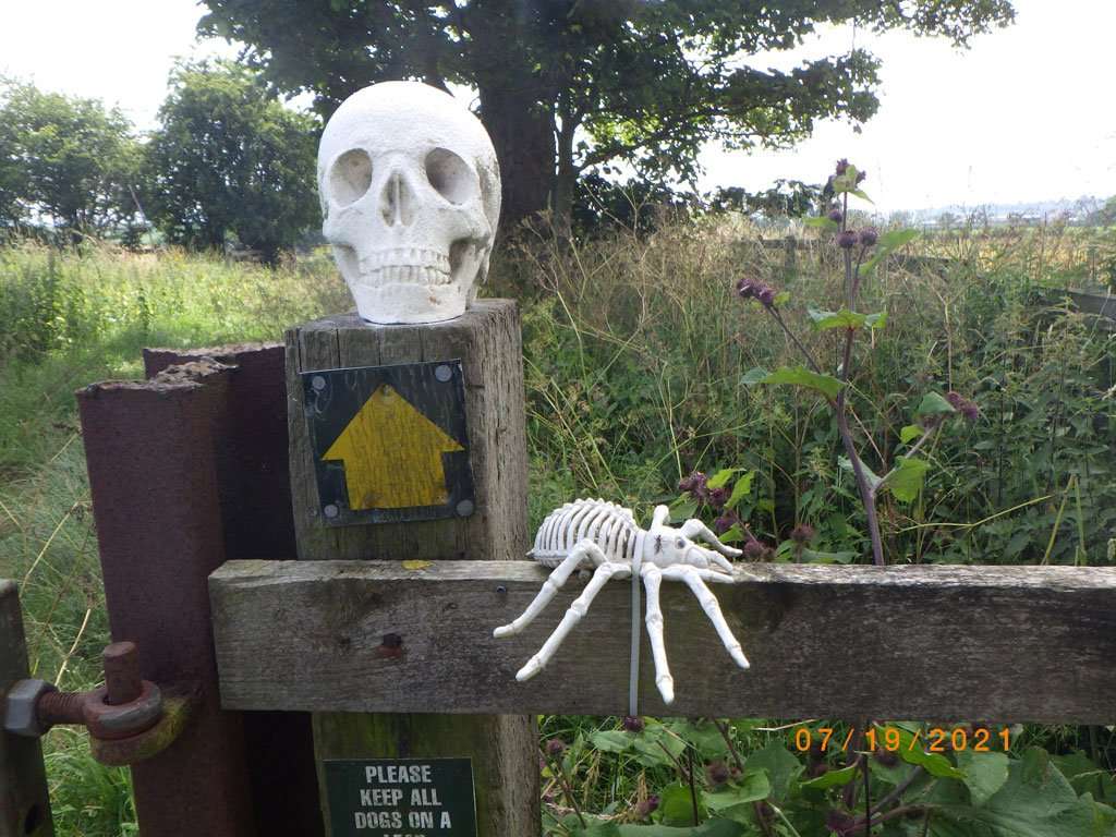 Wainwright Coast to Coast walk St. Bees to Robin Hood’s Bay - Day 13