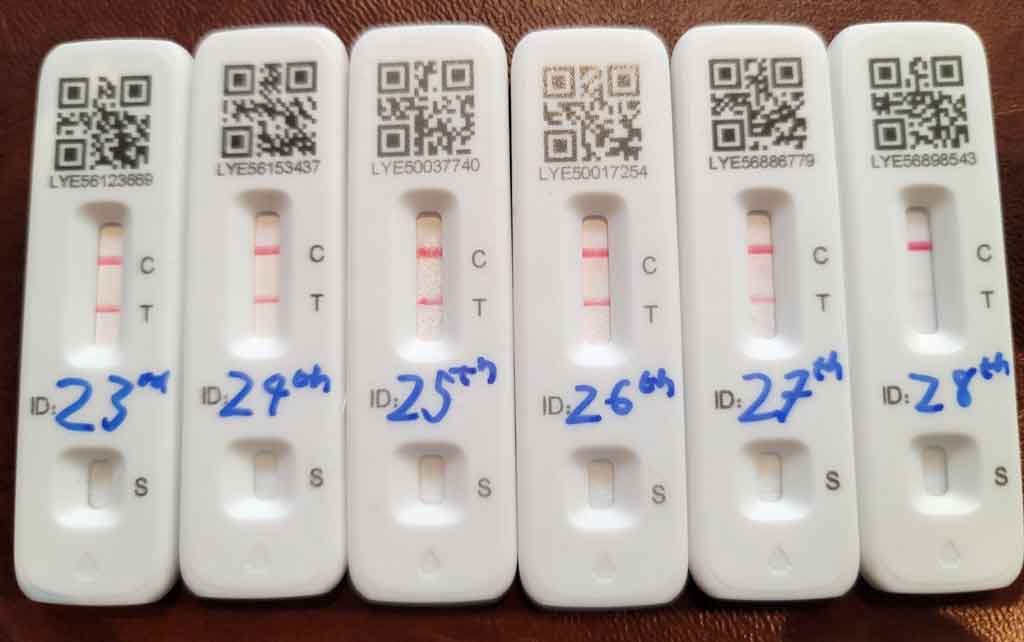 Day 5 to Day 10 Lateral Flow test results having tested positive for Covid-19