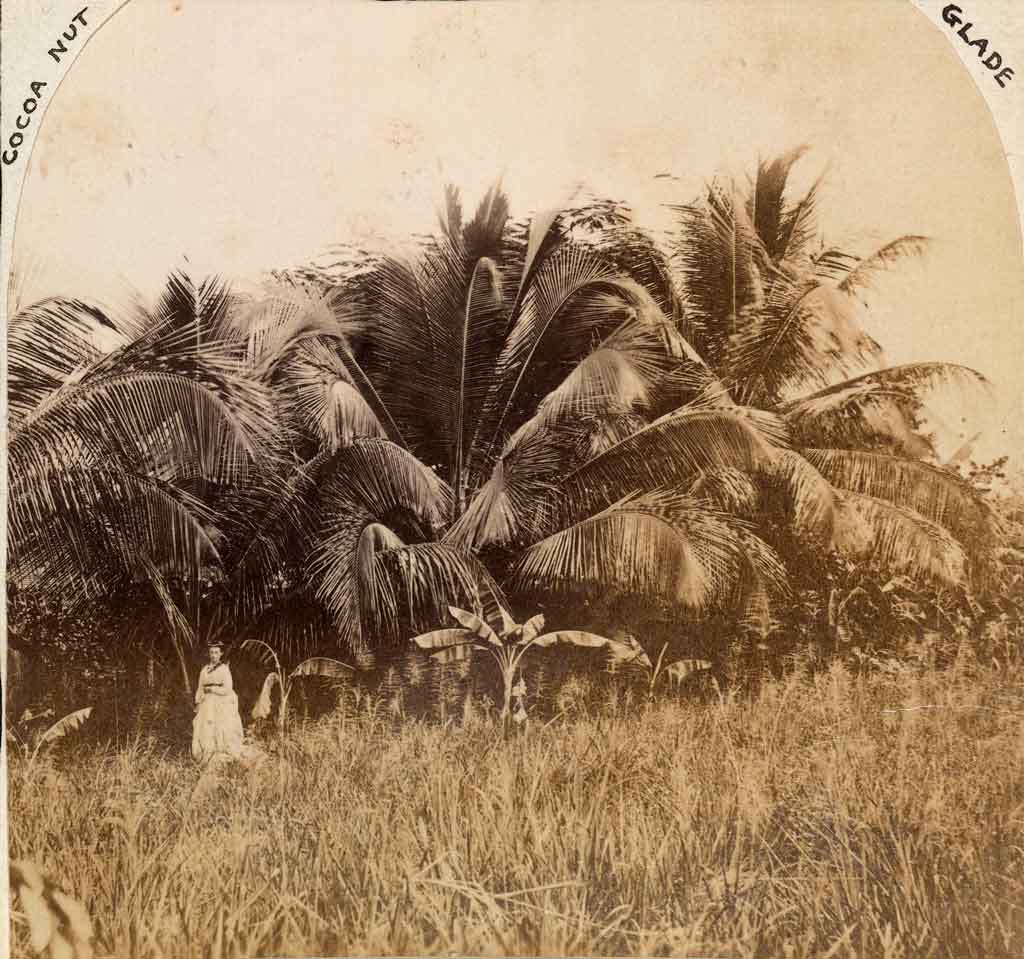 Princes Albert and George of Wales visit Barbados aboard HMS Bacchante 1879