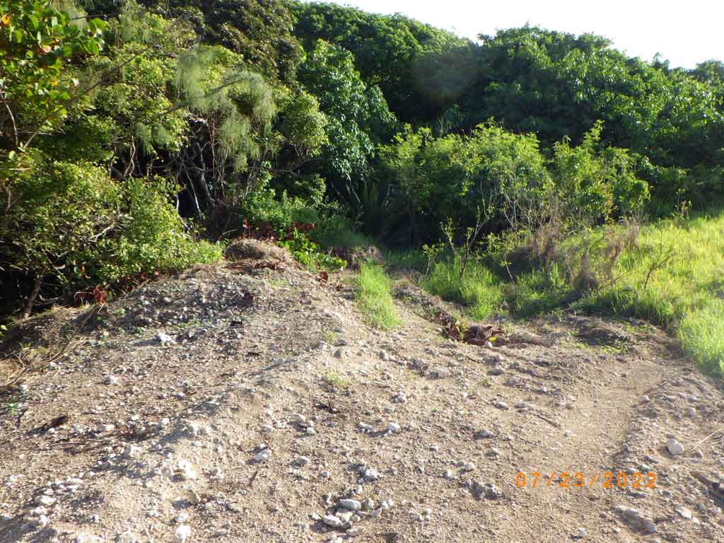 Barbados train line trail project - 2022 update