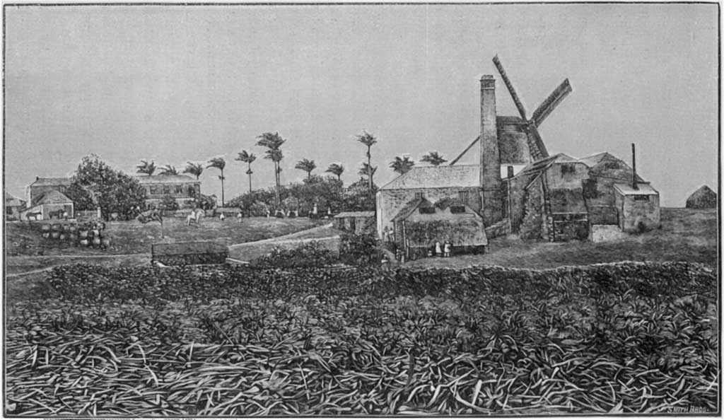 Clifton Hall Estate - Barbados
