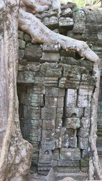 Ta Prohm - Tomb Raider Temple