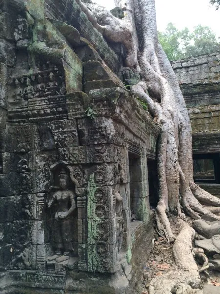 Ta Prohm - Tomb Raider Temple
