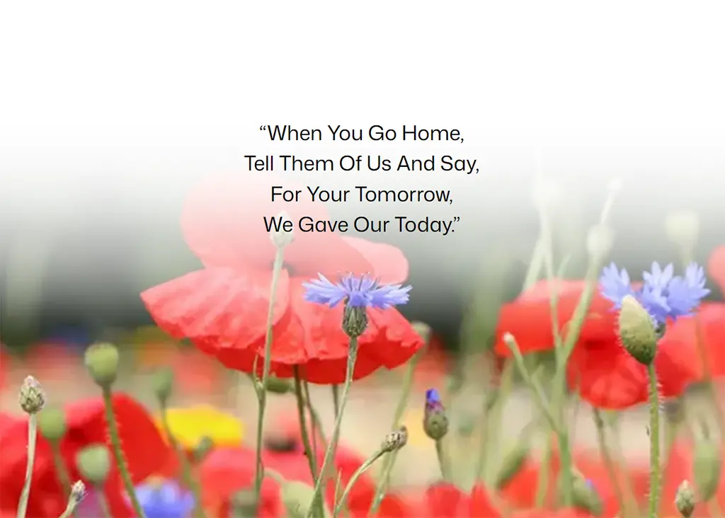 Remembering those that served during WWI, WWII and later conflicts