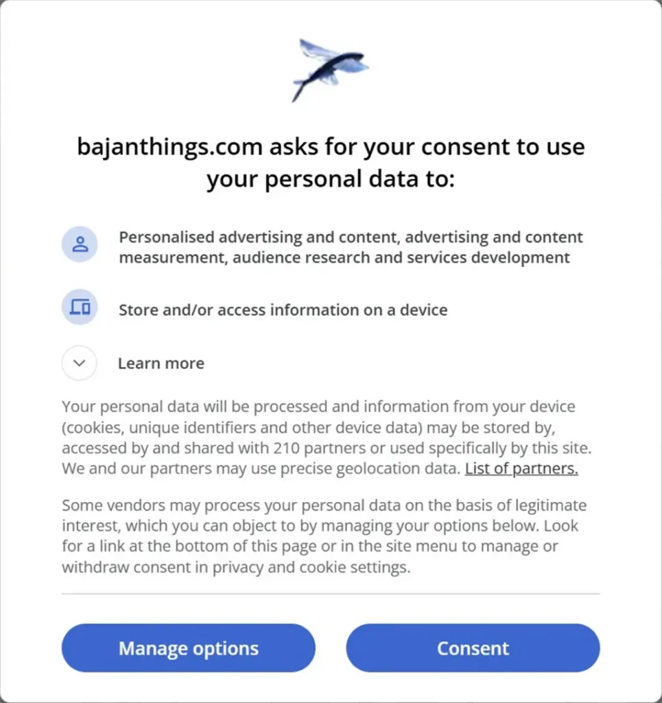 Google Ads Consent